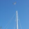 disuasor aves náutico protector anti gaviotas barco sistema anti aves puerto deportivo evitar posado aves embarcación disuasor aves marino