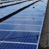 Protección anti aves para paneles fotovoltaicos y placas solares